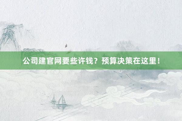 公司建官网要些许钱？预算决策在这里！