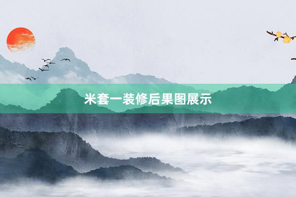 米套一装修后果图展示