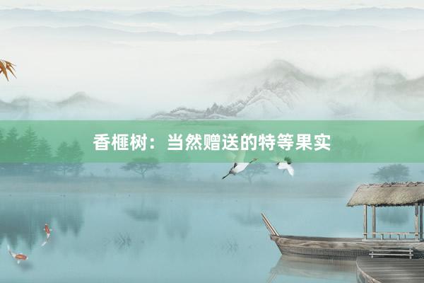 香榧树：当然赠送的特等果实