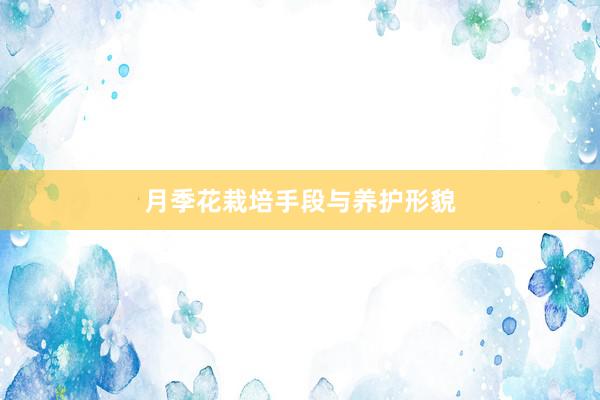 月季花栽培手段与养护形貌