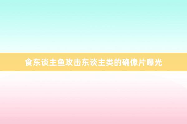 食东谈主鱼攻击东谈主类的确像片曝光
